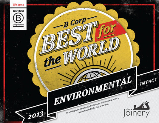 2013 Best for the World Environment Impact