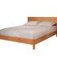 Queen Modern Simple Platform Bed in Cherry, Mattress Only Set Up