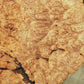 HIDEAWAY - BURL COFFEE TABLE