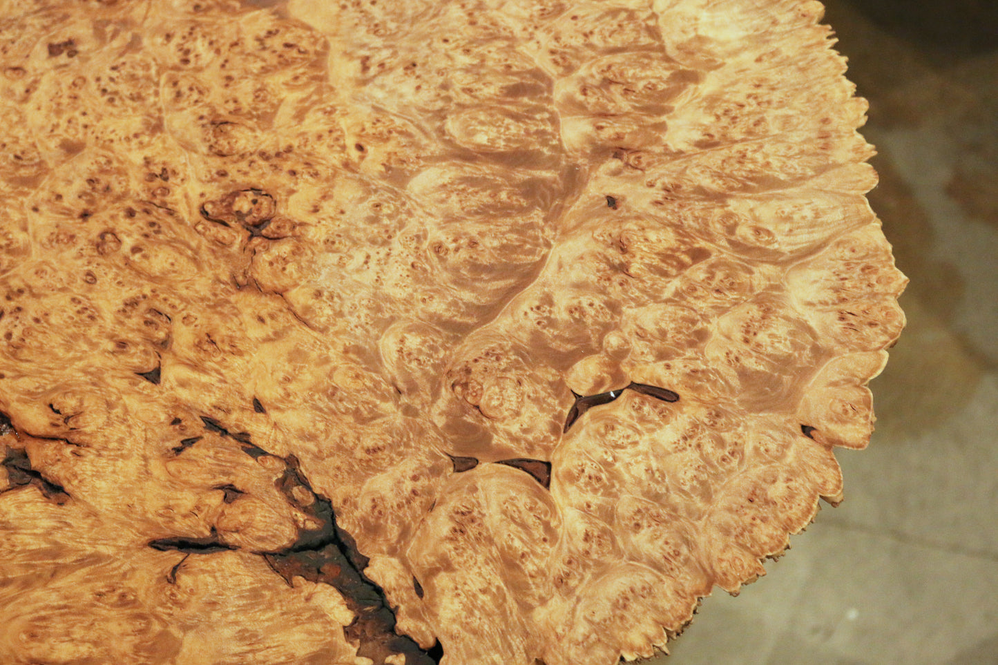 HIDEAWAY - BURL COFFEE TABLE