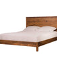 Queen Modern Panel Bed in Eastern Walnut Mattress Only